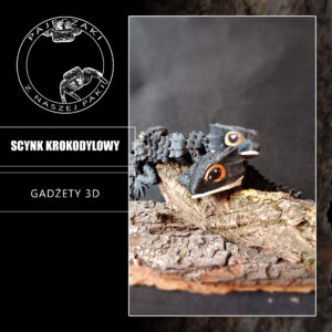 Scynk krokodylowy  - 3D