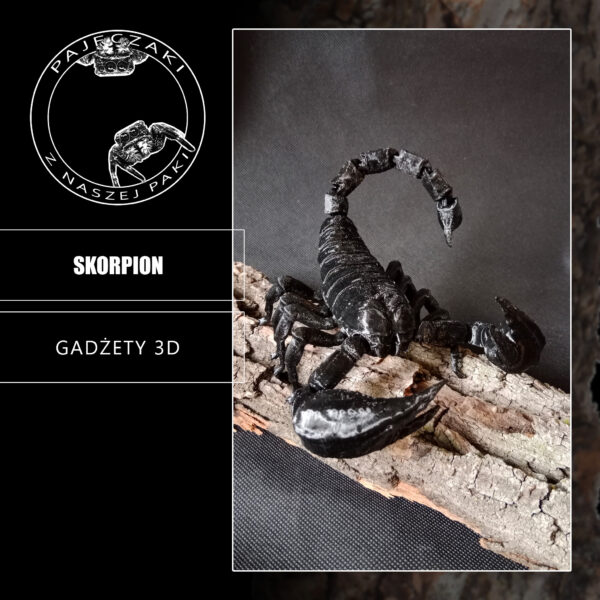 Skorpion 3D - Black