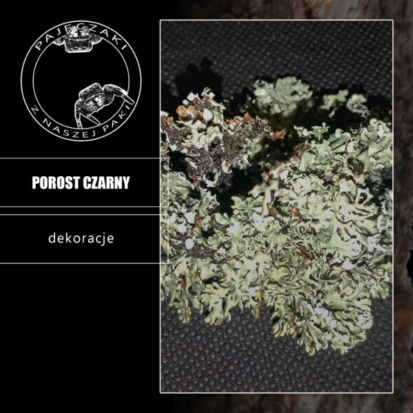 Porost czarny - 15 gram